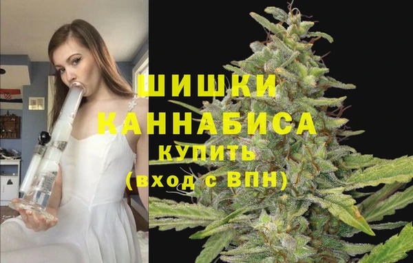 гидропоника Беломорск