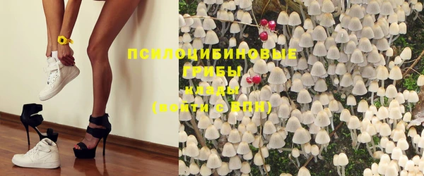 гидропоника Беломорск